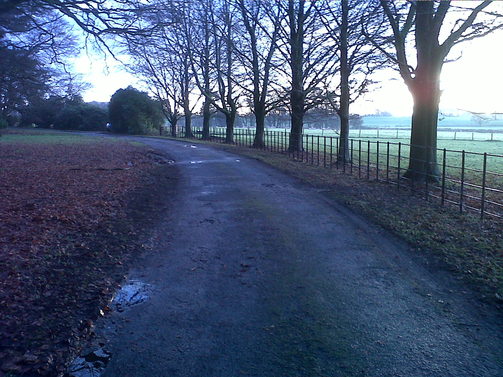 Paddock & Estate Fencing Andrew Brind LTD Yorkshire Blacksmiths